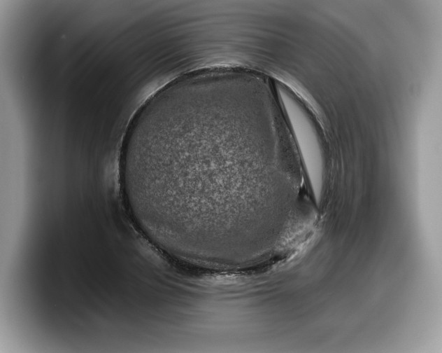 X0000099570834200805301539