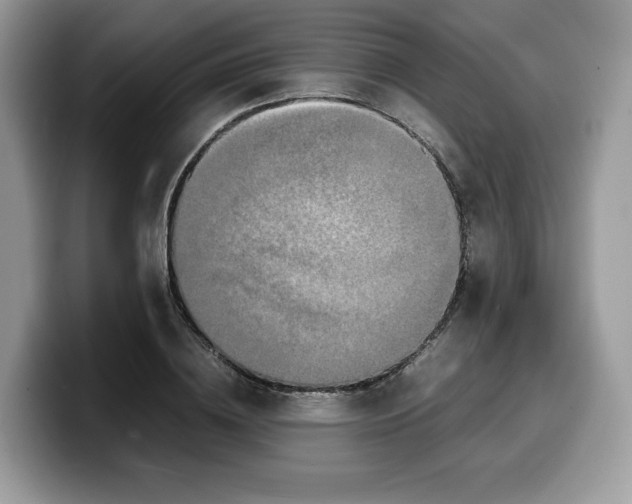 X0000099570836200805301539