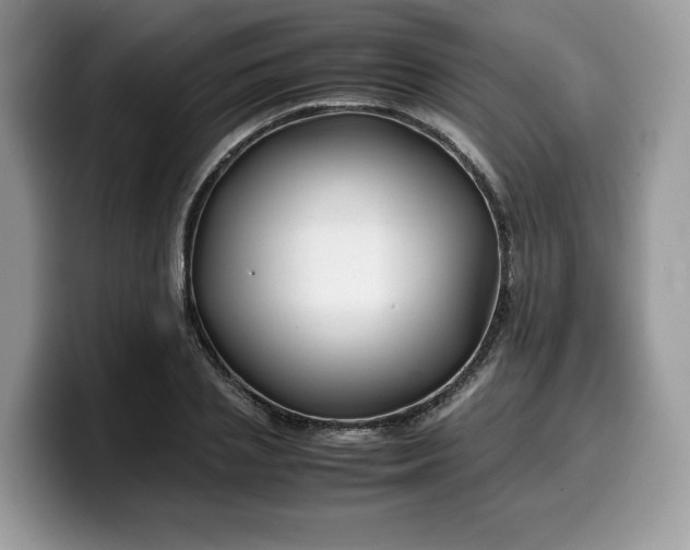 X0000099570837200805301539