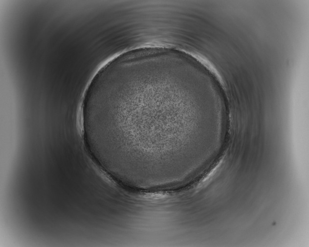 X0000099570838200805301539