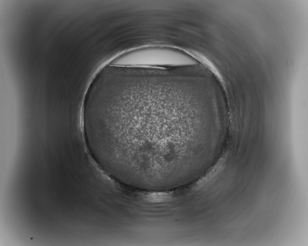 X0000099570839200805301539