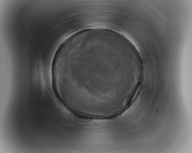 X0000099570840200805301539