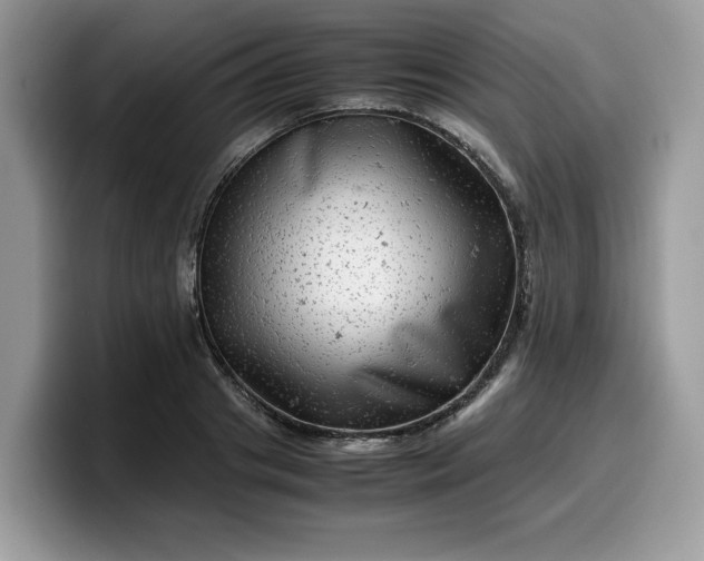 X0000099570841200805301539