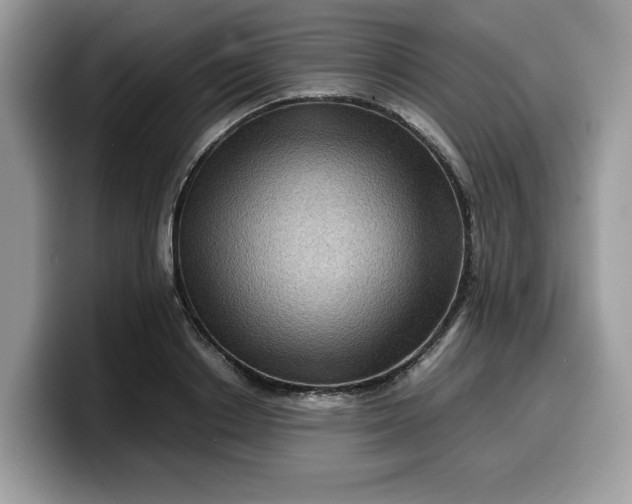 X0000099570842200805301539