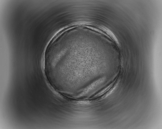 X0000099570844200805301539