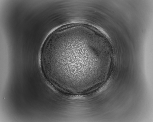 X0000099570846200805301539