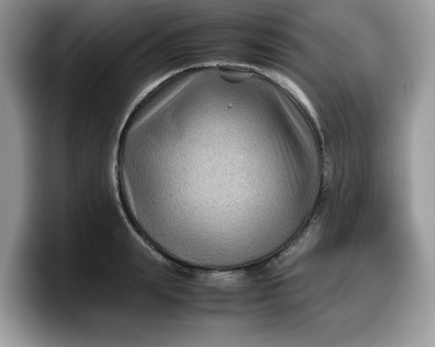 X0000099570847200805301539