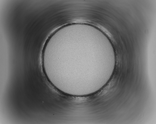 X0000099570848200805301539