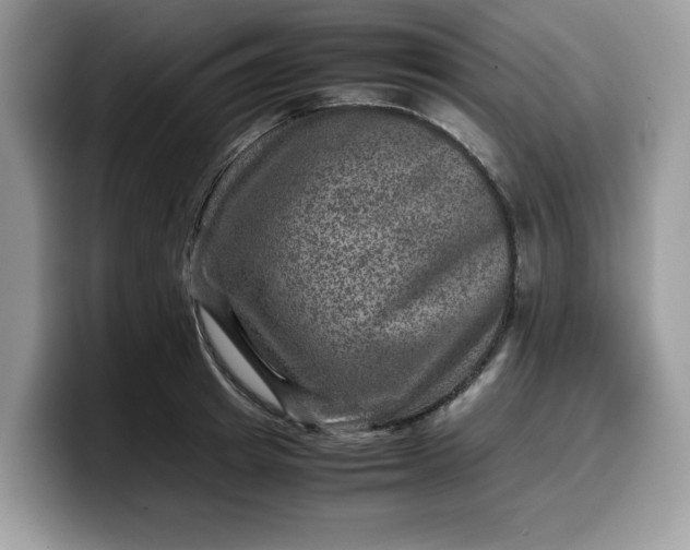 X0000099570849200805301539