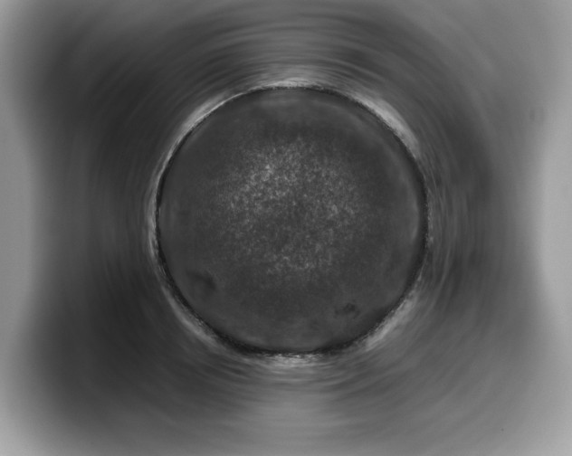 X0000099570850200805301539