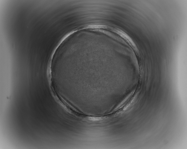 X0000099570852200805301539