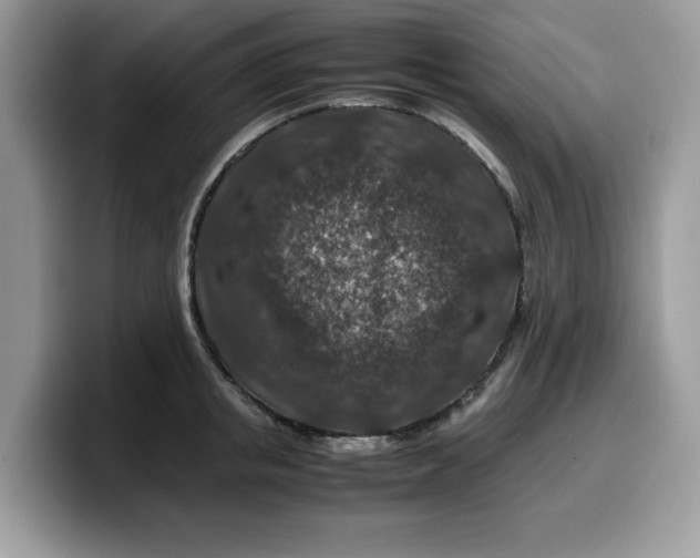 X0000099570853200805301539