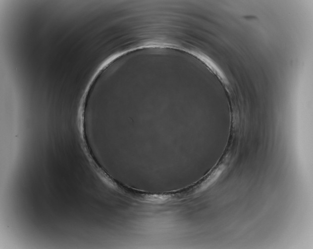 X0000099570854200805301539