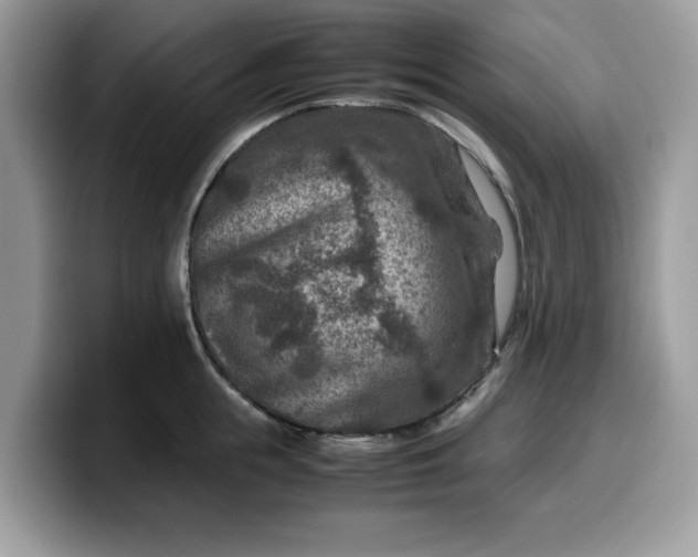 X0000099570855200805301539