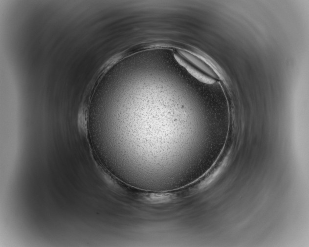 X0000099570857200805301539