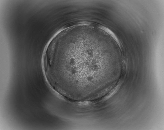 X0000099570859200805301539