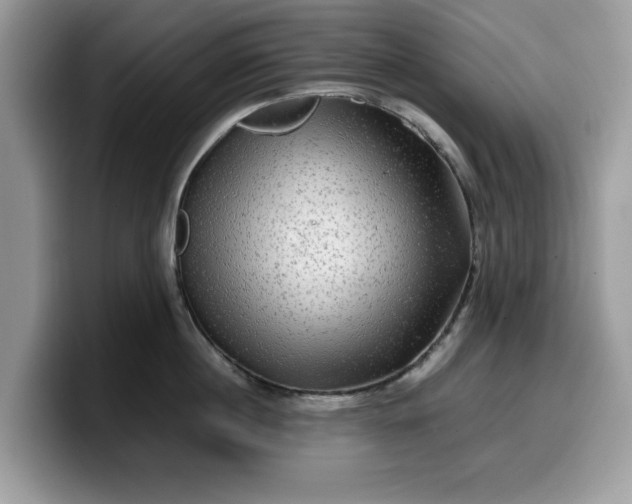 X0000099570860200805301539