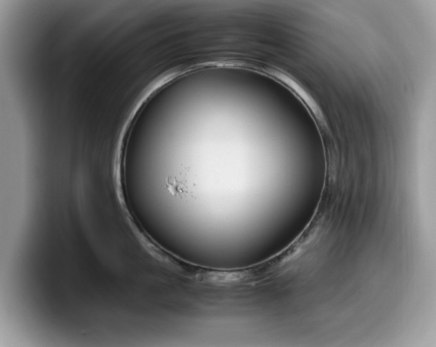 X0000099570861200805301539