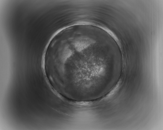 X0000099570862200805301539