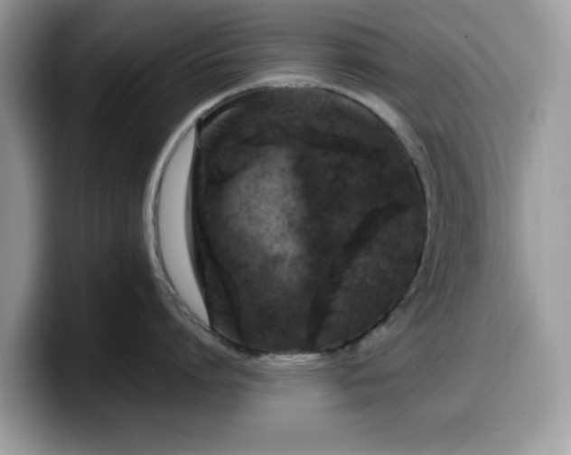 X0000099570864200805301539