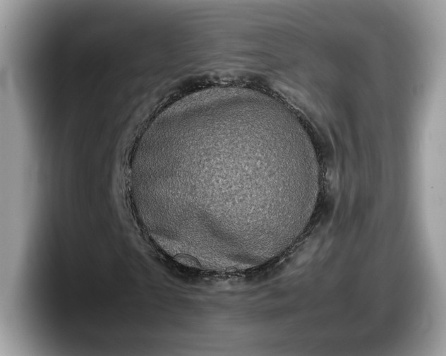 X0000099570865200805301539