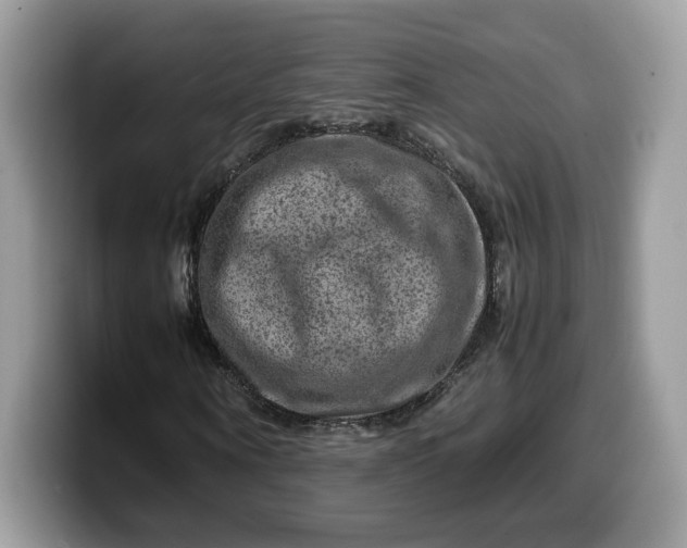 X0000099570866200805301539
