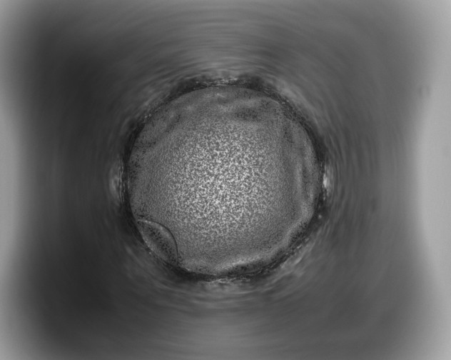 X0000099570867200805301539