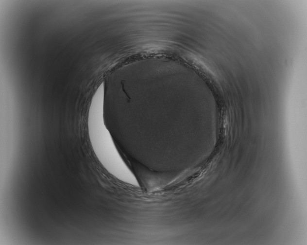 X0000099570868200805301539