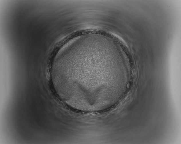 X0000099570869200805301539