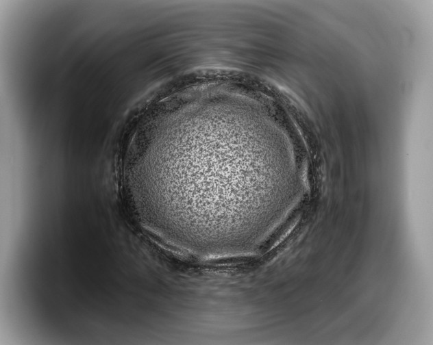 X0000099570870200805301539