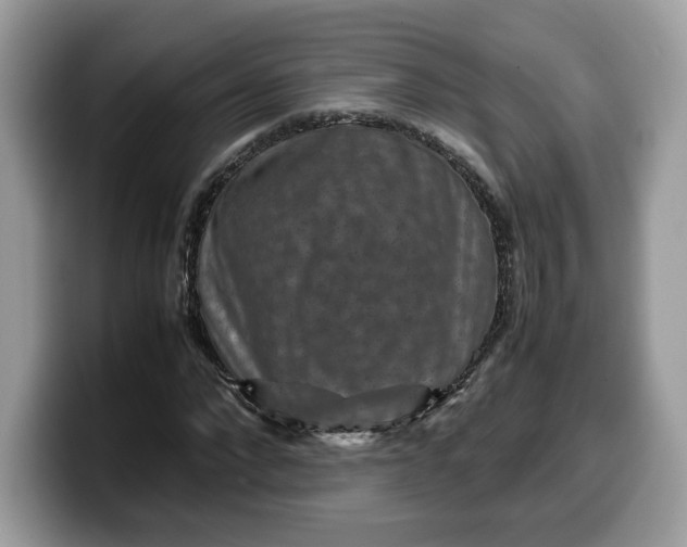 X0000099570872200805301539