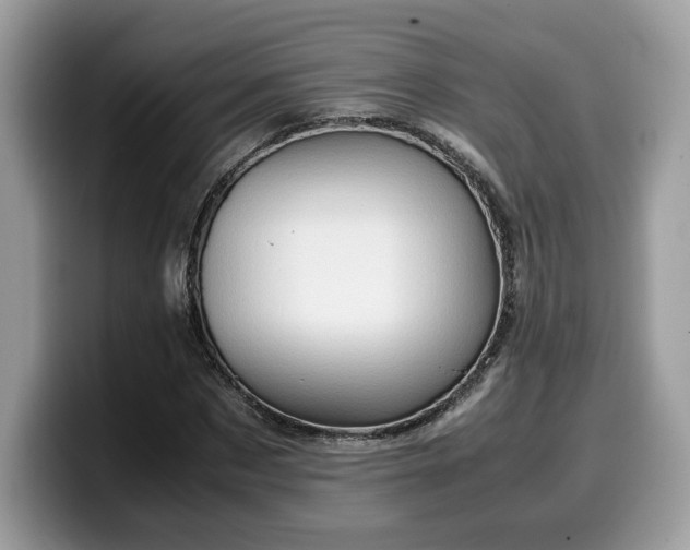 X0000099570873200805301538