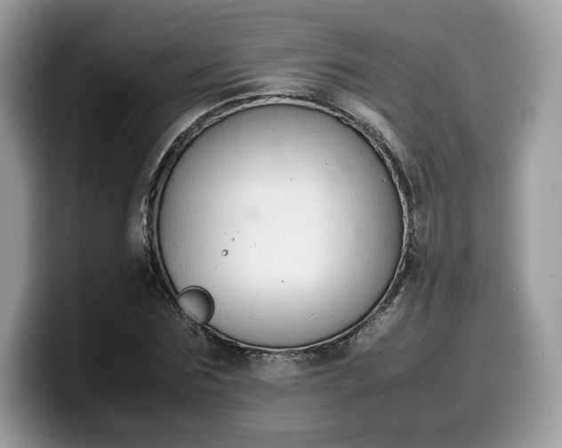 X0000099570875200805301538