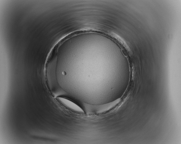 X0000099570876200805301538