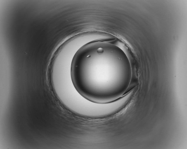 X0000099570877200805301538