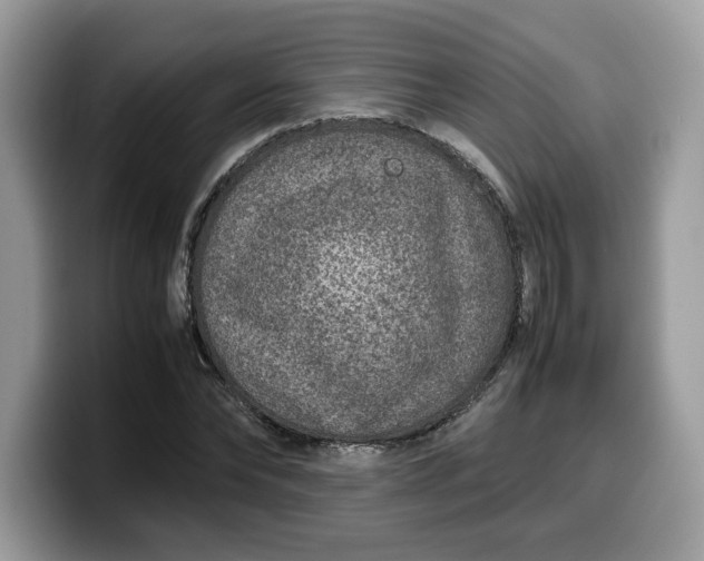 X0000099570878200805301538