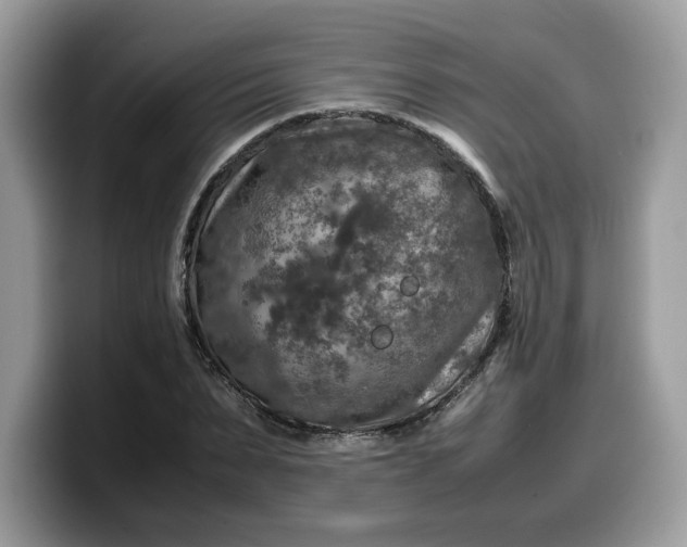 X0000099570879200805301538