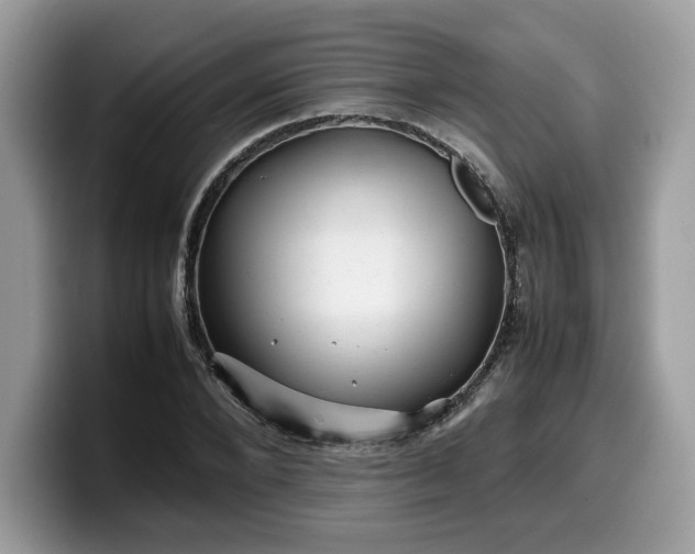 X0000099570880200805301538