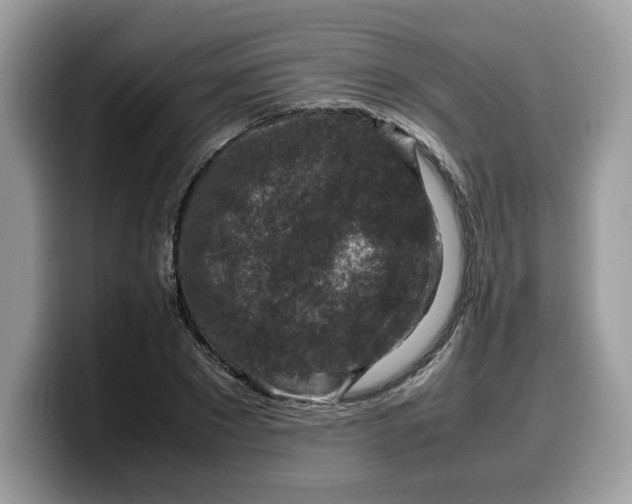 X0000099570881200805301538