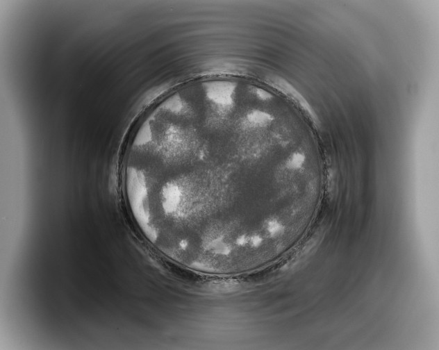 X0000099570882200805301538