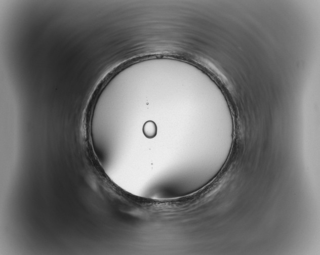 X0000099570883200805301538
