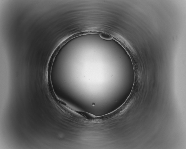 X0000099570884200805301538
