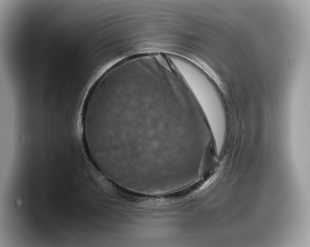 X0000099570885200805301538