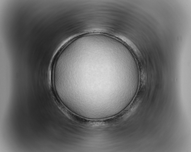 X0000099570886200805301538