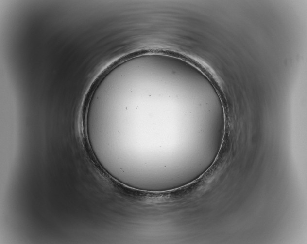 X0000099570887200805301538