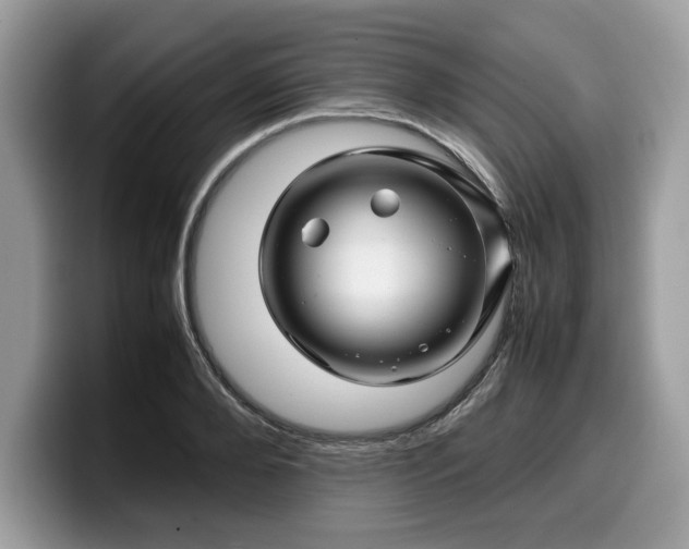 X0000099570888200805301538