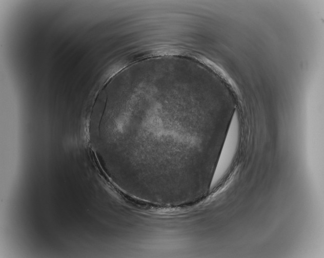 X0000099570889200805301538