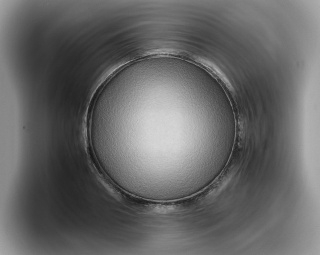 X0000099570890200805301538