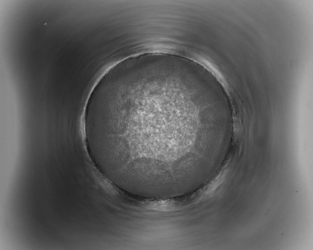 X0000099570891200805301538
