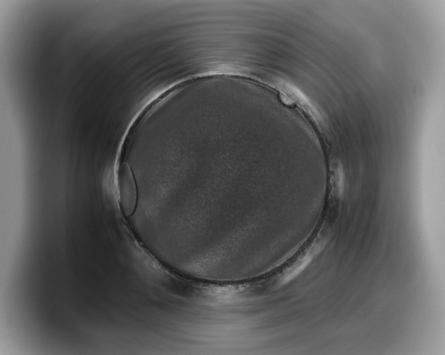 X0000099570892200805301538